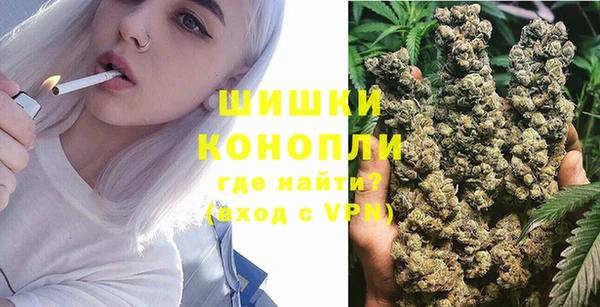 крисы Елизово