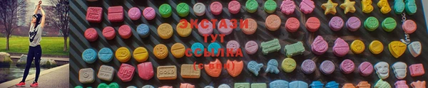 соль ск Ельня