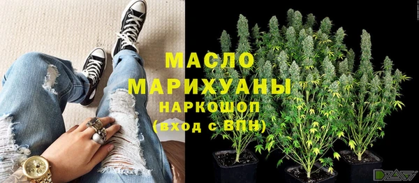 соль ск Ельня