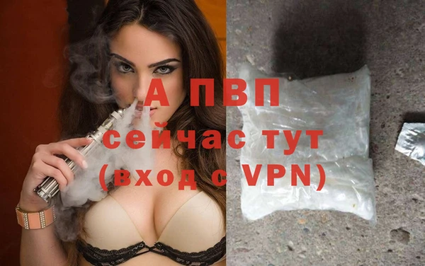 соль ск Ельня