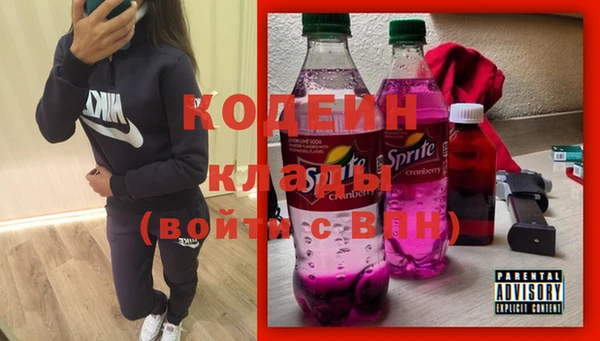 соль ск Ельня