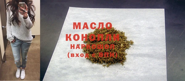 соль ск Ельня