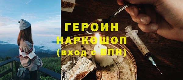 соль ск Ельня