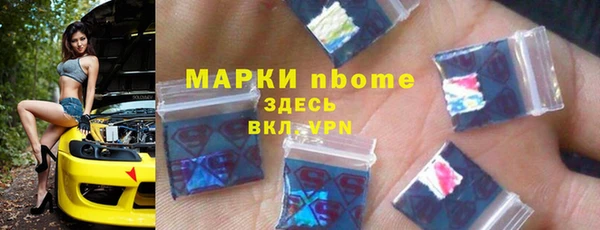 соль ск Ельня