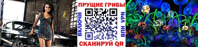 OMG ONION  Лермонтов  Галлюциногенные грибы MAGIC MUSHROOMS 
