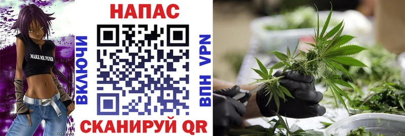Шишки марихуана VHQ  mega tor  Лермонтов 